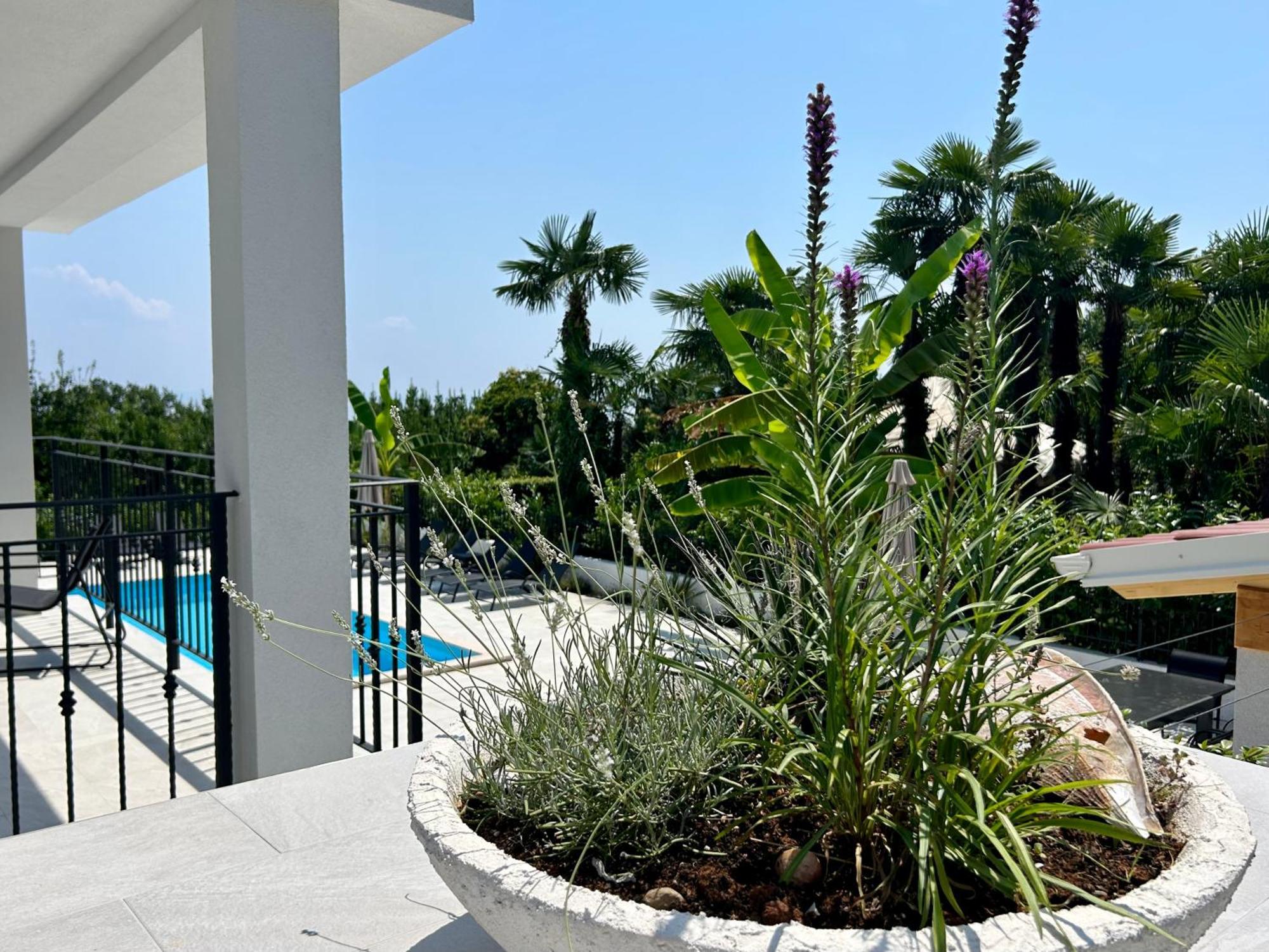 Villa Palma Ловран Экстерьер фото